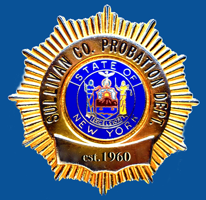 Probation Logo
