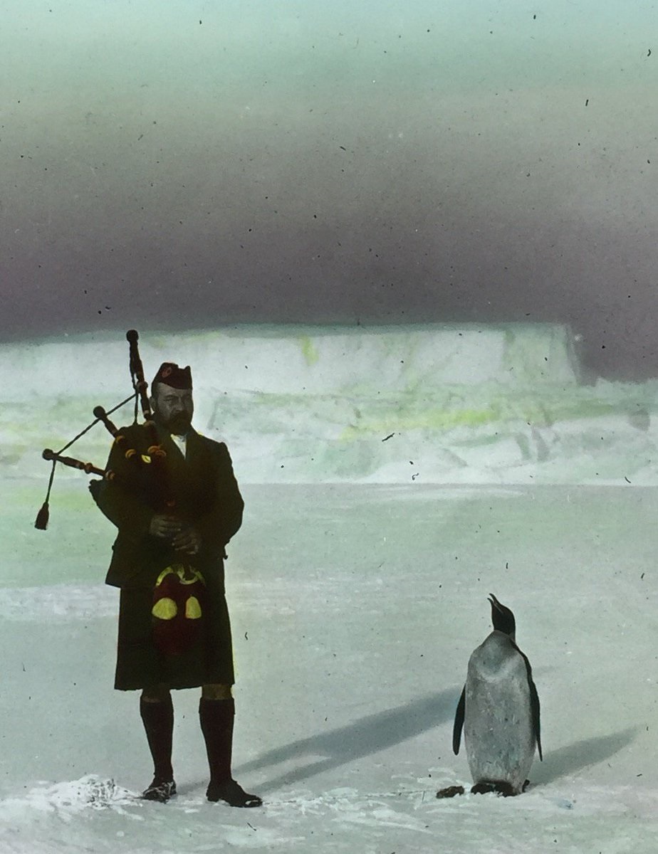 Penguin and bagpiper