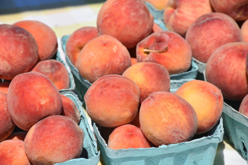 Peaches at the Monticello Farmer's Market on North Street