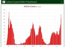 Active COVID Cases Since March 2020
